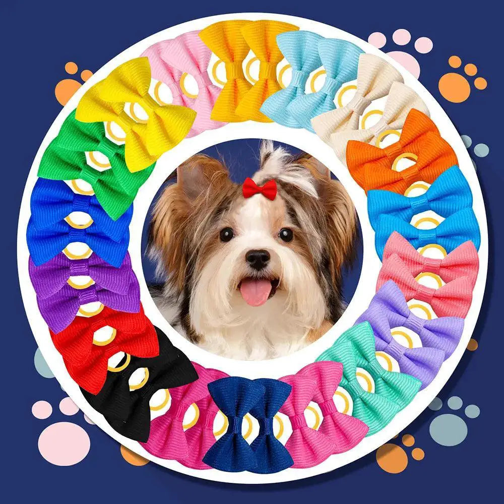 Pet Grooming Colorful Bows for Small Pets 30 Piece Set