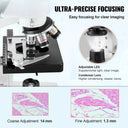 LED Illuminated Compound Microscope