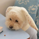 Cozy Warmth Pet Hat for Winter Dogs