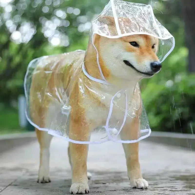 Transparent Dog Raincoat Hooded Waterproof Jacket for Pets