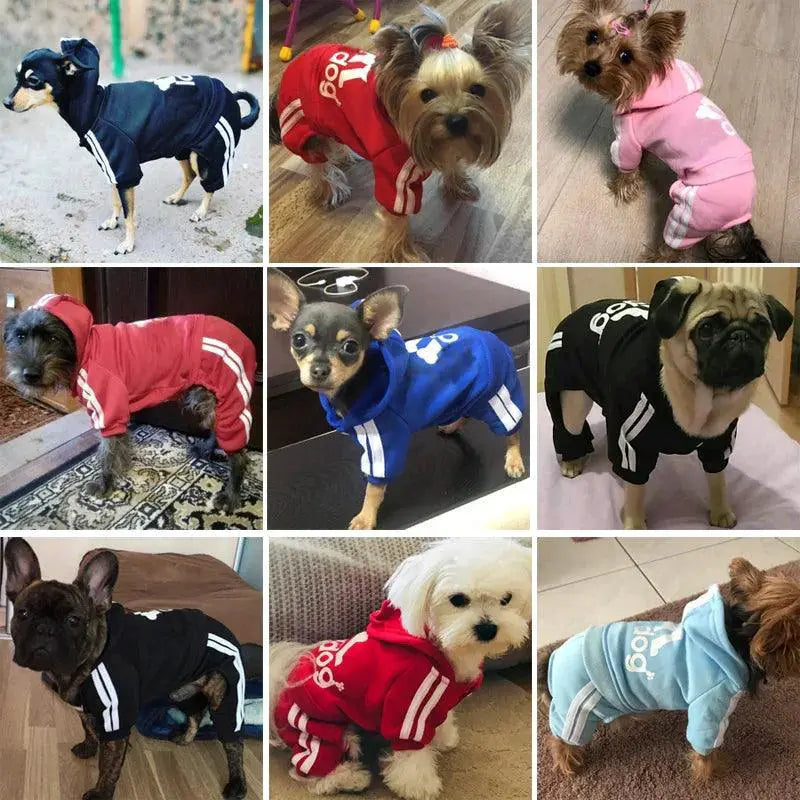 Small Dog Autumn Winter Warm Cotton Coat Jacket Outfit