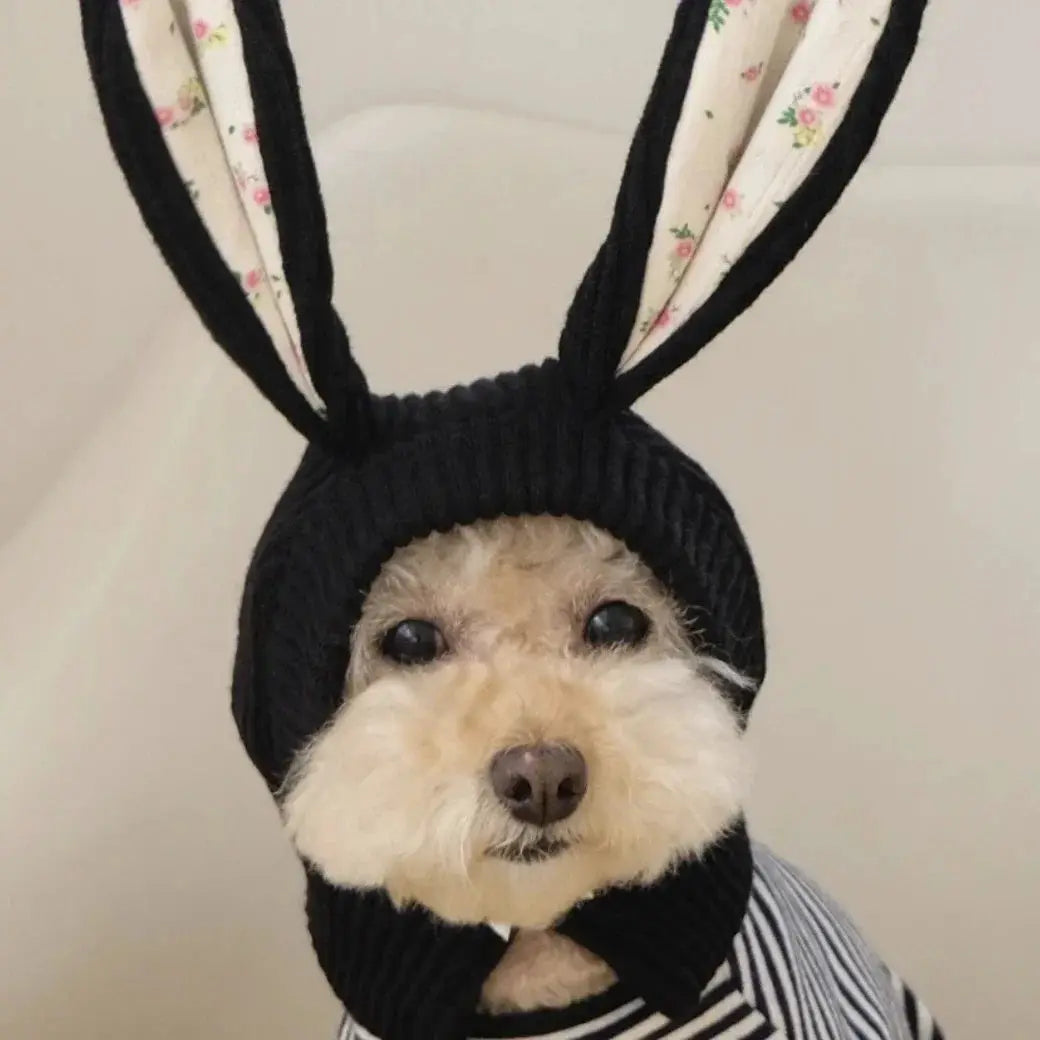 Cute Rabbit Ears Pet Knitted Hat For Autumn And Winter
