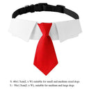 Pet Bow Tie Collar for Stylish Occasions