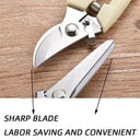 Precise Pruning Scissors for Florists