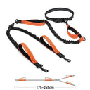 High Quality Hands-Free Dog Leash with Dual Bungee for Large Dogs