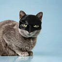 Cat Bat Cosplay Hat Cat Face Cushion Black Halloween