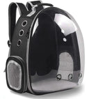 Secure Travel: Clear Bubble Pet Backpack
