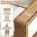 Rattan Outdoor Upholstered Couch