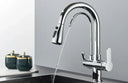 Filtered Water Kitchen Faucet For Homes