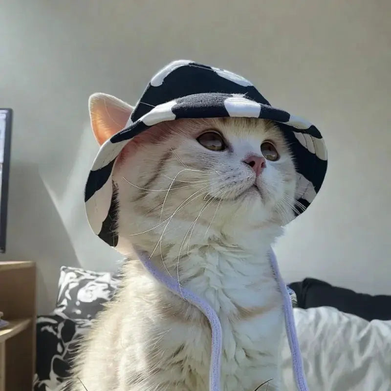Cute Cat And Dog Sun Hat With Exposed Ears For Pets Outdoor