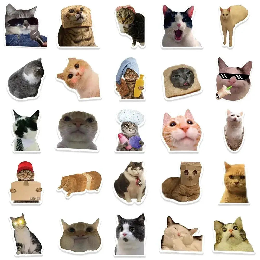Funny Cat Meme Stickers Pack For Vibrant DIY Decor