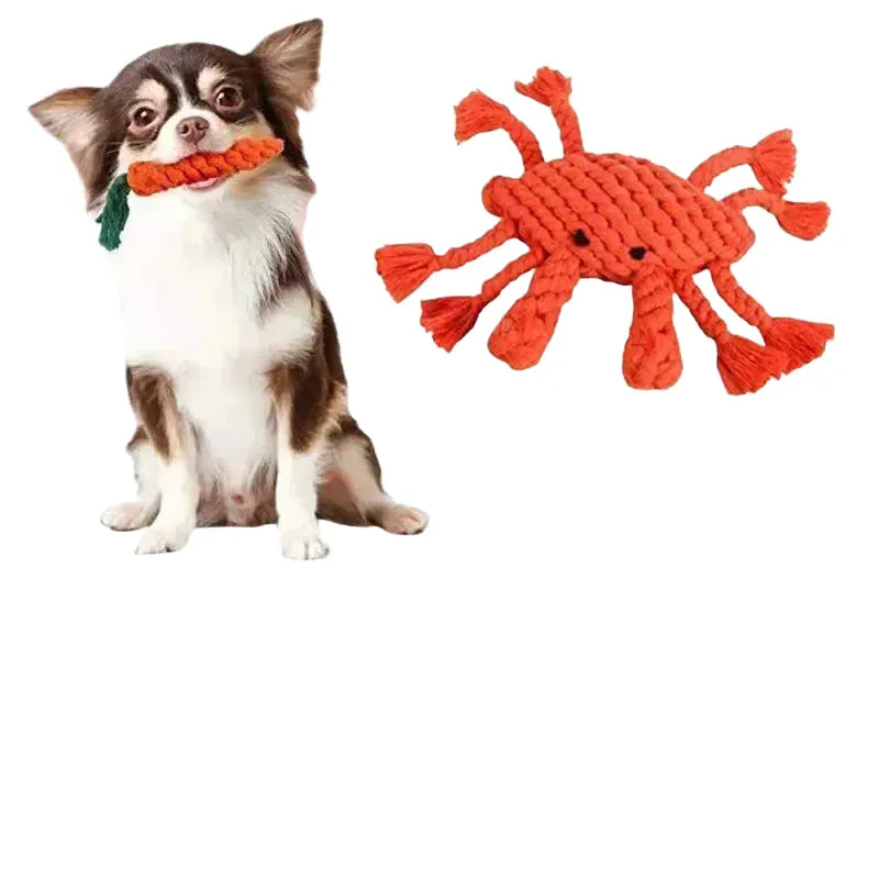 Dental Chew Toy for Dogs Teeth Cleaning — product view 1