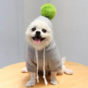 Cute Fruit Dog Hoodies for Small Dogs in Warm Fleece