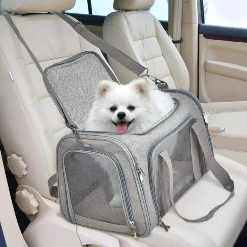 PawVoyage Pet Carrier Bag Airline Approved Cat Carrier