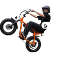 ESKUTE V101 Fat Tire Electric Dirt Bike