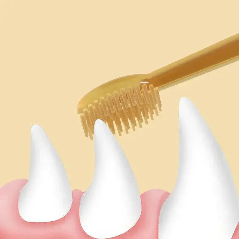 Pet Dental Care Kit Silicone Toothbrush And Toothpaste