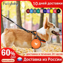 Foldable Silicone Pet Bowl Travel Friendly Portable Feeding Solution