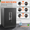 SucceBuy Digital Fingerprint Cabinet Safe