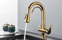 Filtered Water Kitchen Faucet For Homes
