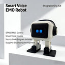 Pocket Language Robot For Kids Learning