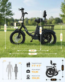 Qlife Triker - Fat Tire