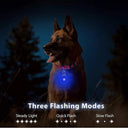 Illuminate Your Pet's Adventures: Luminous Dog Collar Pendant
