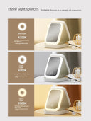 Carrying Travel Led Office Storage Smart Mirror Compact