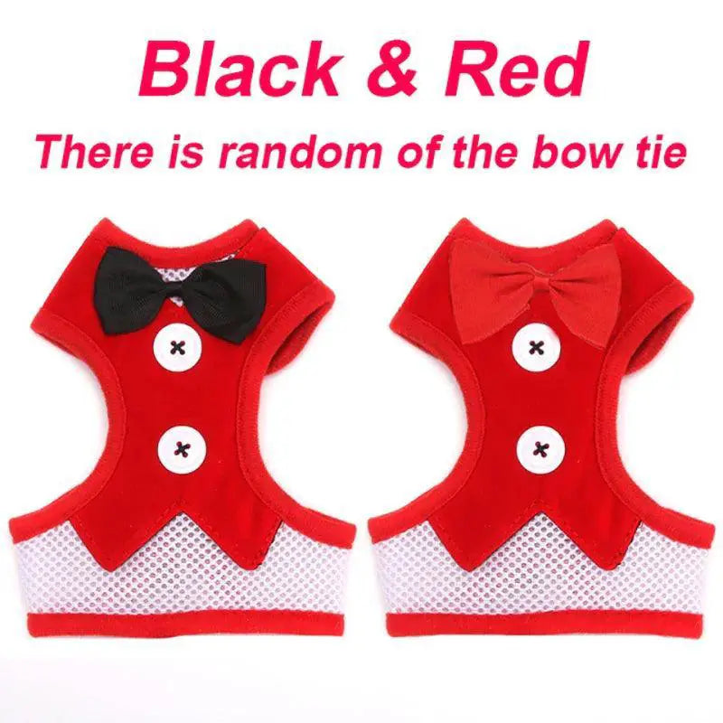 Festive Bowtie Pet Harness For Small To Medium Pets