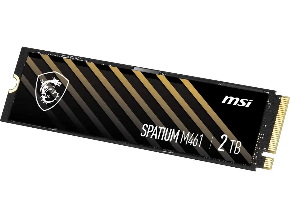 MSI M461 M.2 2280 2TB PCIe 4.0 NVMe SSD