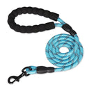 Strong Leashes for Dogs with Soft Handle and Reinforced Design