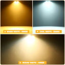 King 4 Pcs 200W Cob Led Stage Light