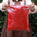 Vibrant Ponytail Hold Hair Ties for Girls Colorful Accessories