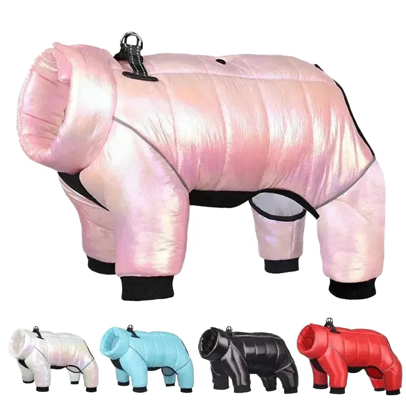 Warm Winter Coat for French Bulldog — product view 1