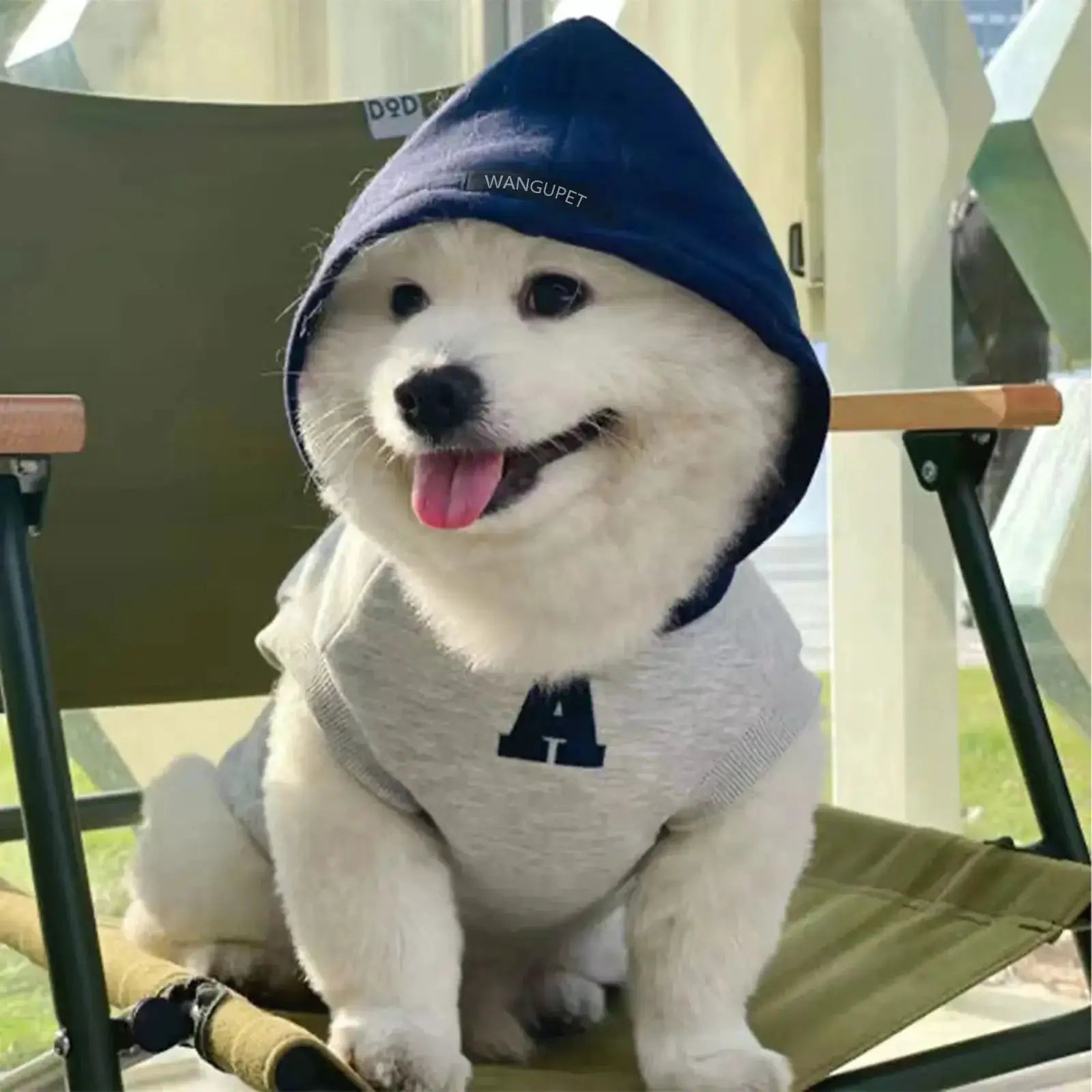 Fashion Dog Hoodie Winter Warm Coat for Pets Sweatshirt