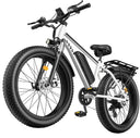Obx Ebike - All Terrain Fat Tire Travel
