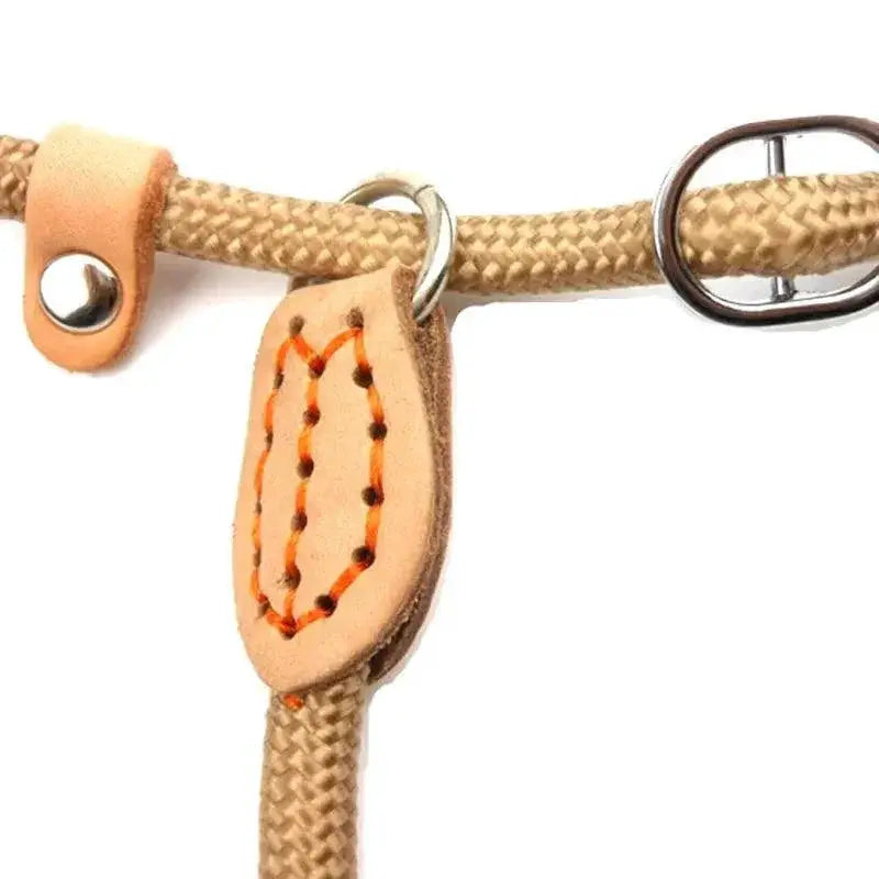 Heavy Duty Braided Rope Dog Training Leash For Medium Dogs