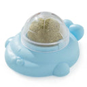 Catnip Rotatable Wall Ball Toy for Healthy Teeth Cleaning
