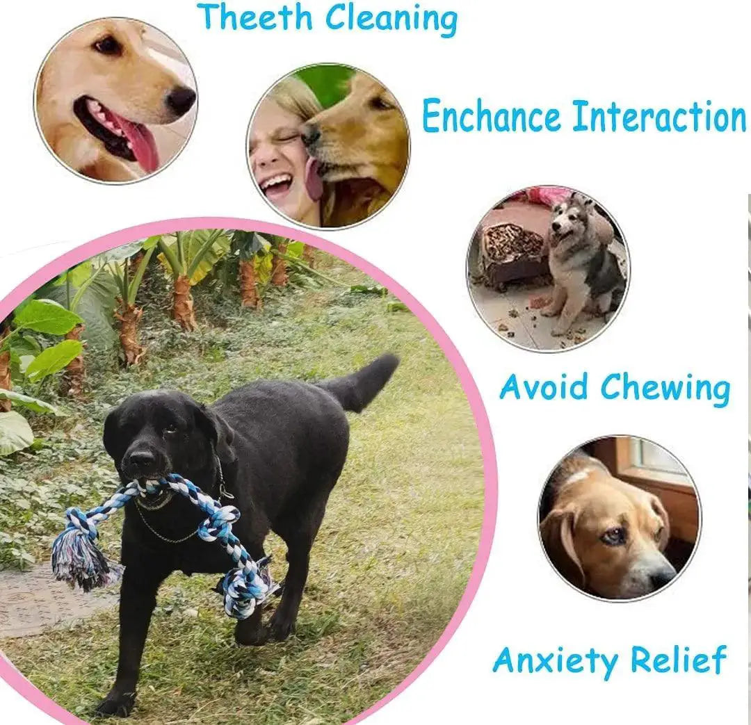 Dog Rope Chew Toy Grind Tooth Cleaning Fun Durable