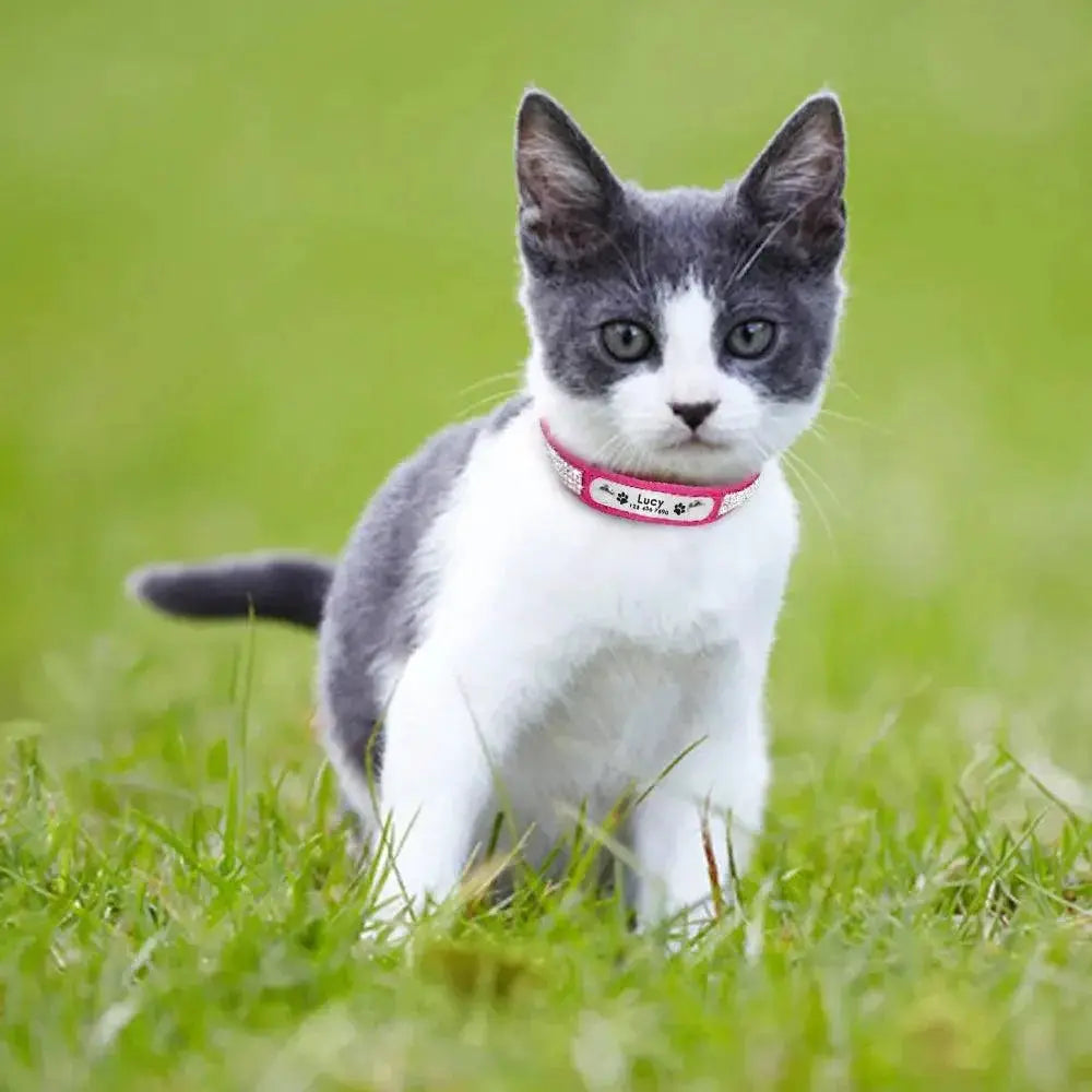 Leather Personalized Cat Collar Adjustable Free Engraving