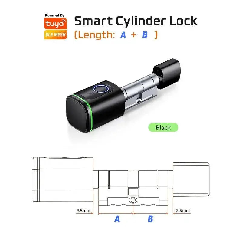 RayKube Door Lock Remote Access — Tuya-B Gateway