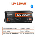 Humsienk 12V 314Ah Lithium Battery Pack