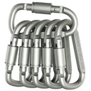 Carabiner Set for Outdoor Gear Security