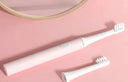 Electric Toothbrush for Adults Whitening