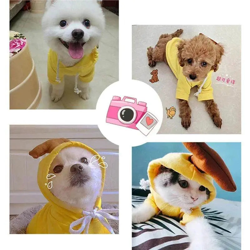 Cute Fruit Dog Hoodies For Small Dogs In Warm Fleece