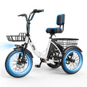 Qlife Triker - Fat Tire