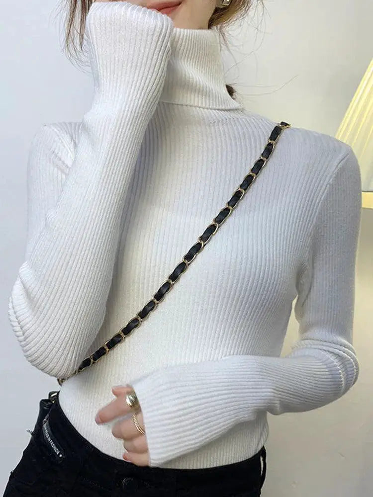 Cozy Chic Slim Fit Turtleneck Sweater For Fall Fashion