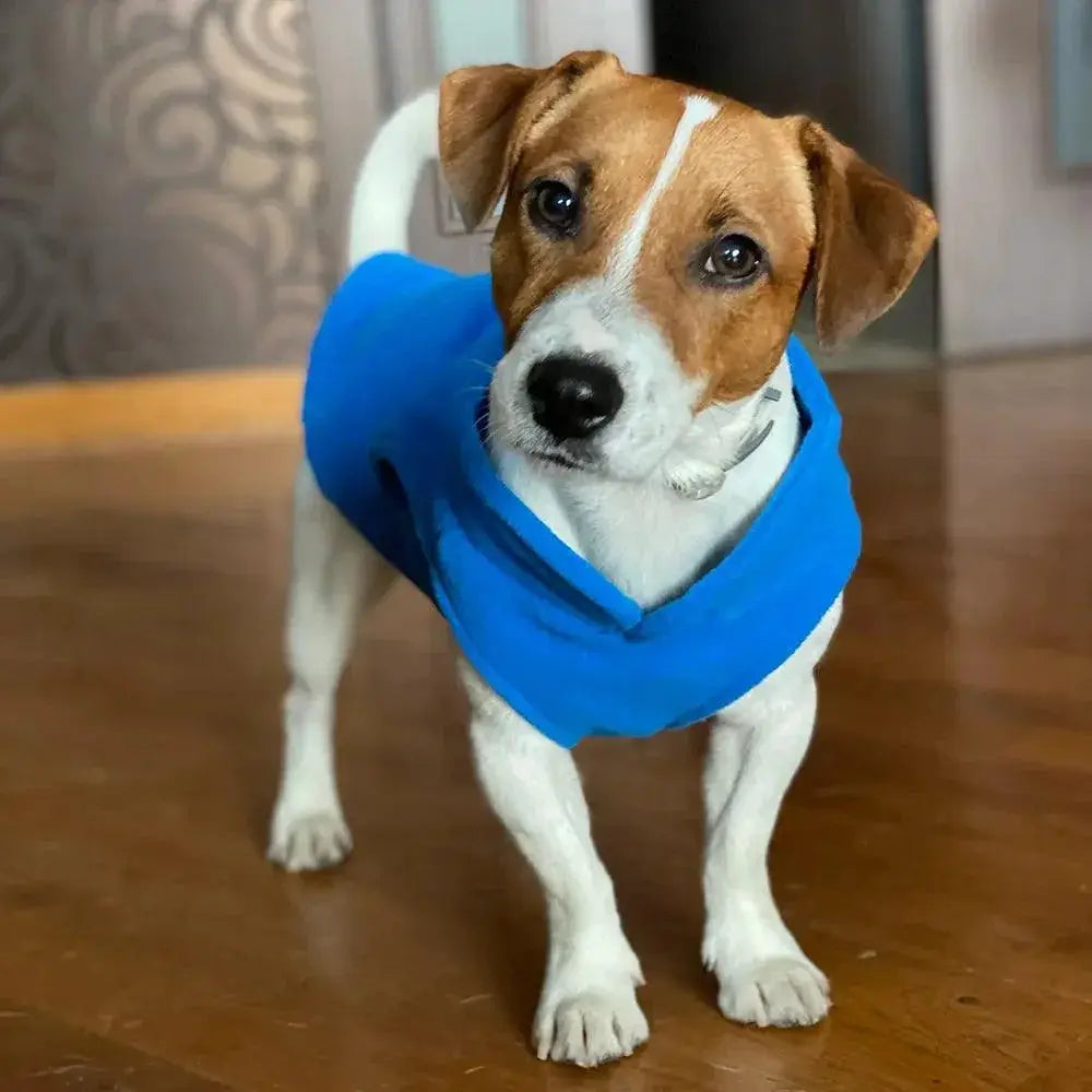 Cozy Winter Dog Jacket Warm Fleece For Small Breeds