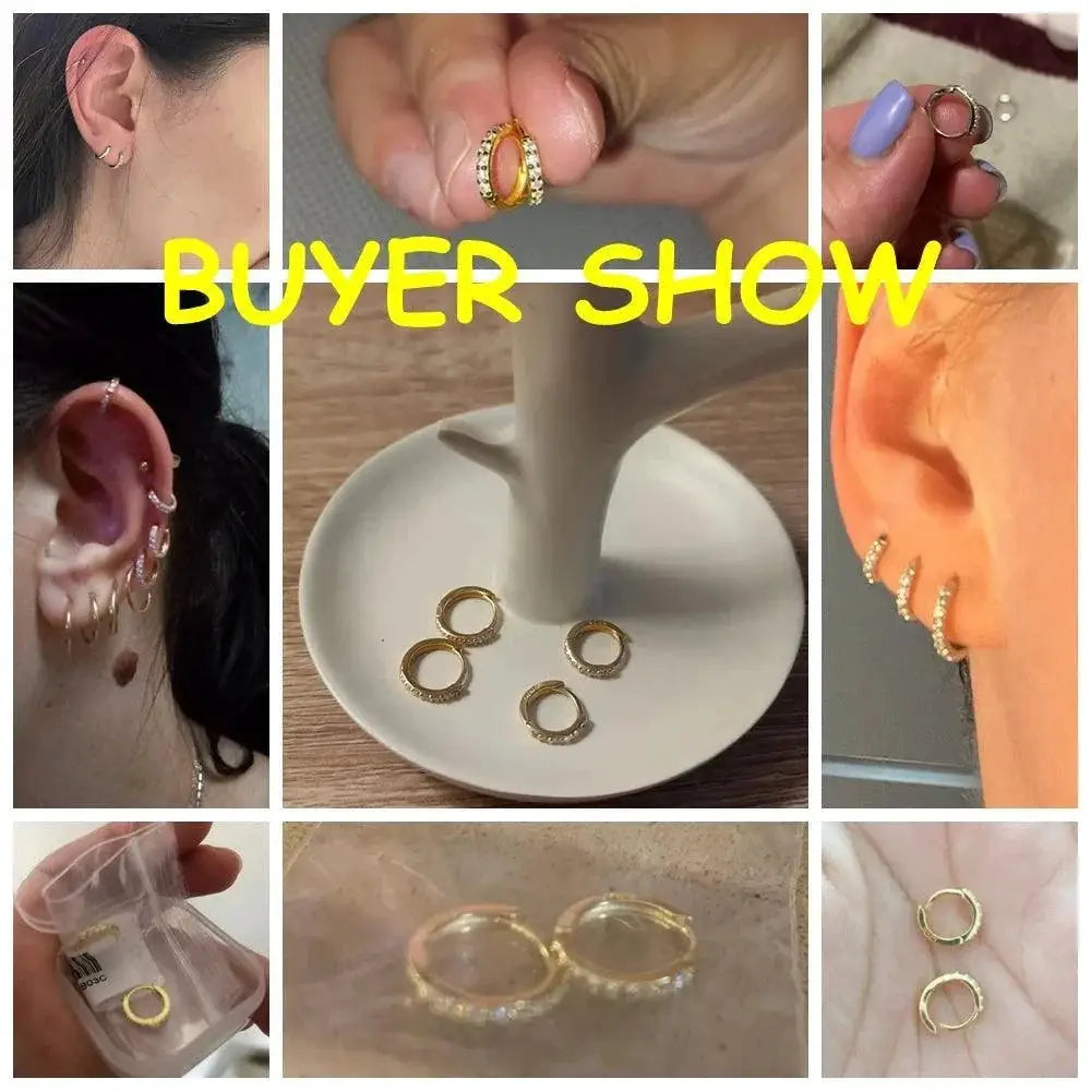 Sterling Silver Hoop Earrings Zircon Chic Circle Design