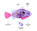 Electric Fish Water Toy for Cat Interactive Play