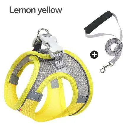 Madden Reflective Breathable Harness and Leash Set